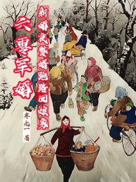 六零军婚：新婚夜赘婿跑路回娘家